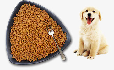 宠物狗粮防伪标签存在的价值和定制流程